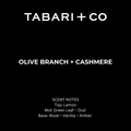 OLIVE BRANCH + CASHMERE